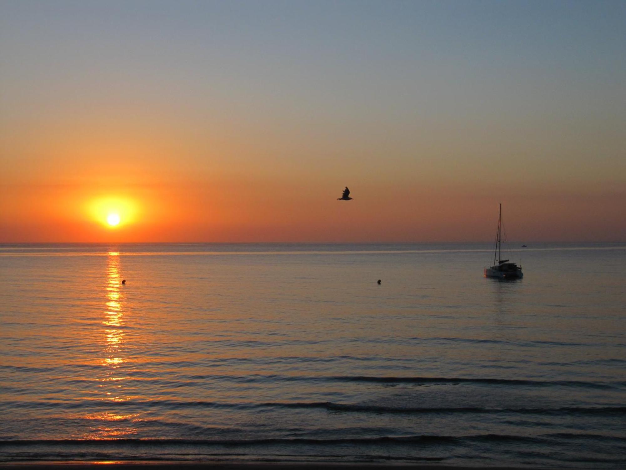 Excepcional Apartamento Loft A Pie De Playa En Chalet Roquetes Alicante Eksteriør billede